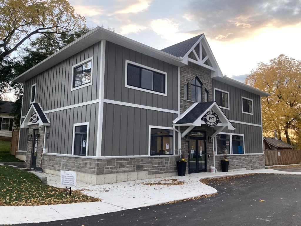 Veterinarian in Ilderton, ON